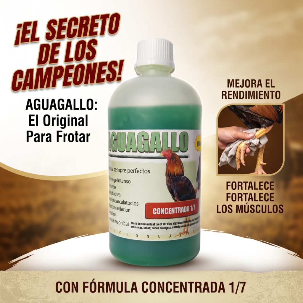 aguagallo gallos frotar