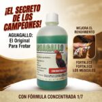 aguagallo gallos frotar