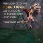 escalera entrenamiento gallos de pelea